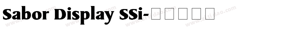 Sabor Display SSi字体转换